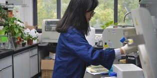 【2025年最新版】外資系化学メーカーの転職事情を徹底解説！平均年収ランキングや転職時のポイントも紹介